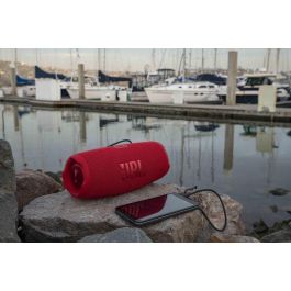 JBL JBLCHARGE5GRY Altavoz Bluetooth Portátil Charge 5, 40W, 20H Batería, IP67 Agua/Polvo, Power Bank, PartyBoost, Gris