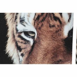 Cuadro Colonial DKD Home Decor Negro Marron 2 x 80 x 150 cm Set de 5 (2 Unidades) Cuadro Colonial DKD Home Decor Negro Marron 2 x 80 x 150 cm Set de 5 (2 Unidades)