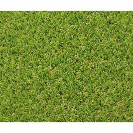 Exelgreen EXE3664881124377 Césped Sintético CAMPUS 2D - 1x5m - Espesor 25mm Exelgreen EXE3664881124377 Césped Sintético CAMPUS 2D - 1x5m - Espesor 25mm