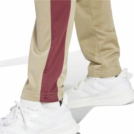 Chándal Adidas Spw Small Logo Tricot Colorblock Beige Hombre