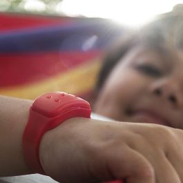 Pulsera Antimosquitos de Citronela InnovaGoods