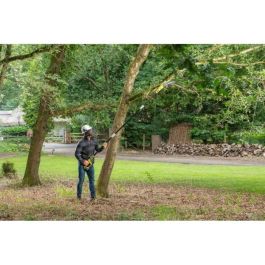 Ryobi RYO4892210217592 Podadora de Altura con Guía 20 cm, 5,5 m/s, Inclinación 15°, Kit Batería 18V 2Ah y Cargador