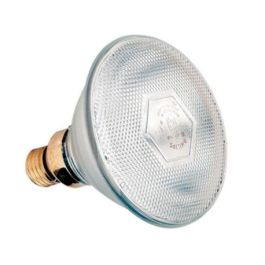 Bombilla Infrarrojos Blanca Philips 175 W 1Ud Precio: 17.544999891099998. SKU: B1ACRBWRHT