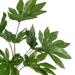 Rama Aralia Verde "Pvc" 52 X 56 X 56 cm