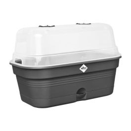 Bandeja de cultivo ELHO Green Basics Allin1 L - Negro - L 39 x B 23 x H 15 cm - cultivo y cosecha - 100% reciclado Precio: 32.69000009. SKU: B145VQ8CNG