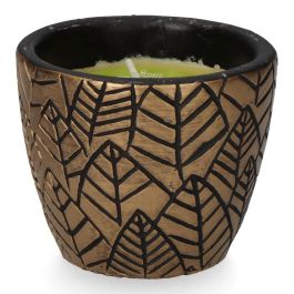 Vela citronela de terracota "hojas" colores surtidos Vela citronela de terracota "hojas" colores surtidos