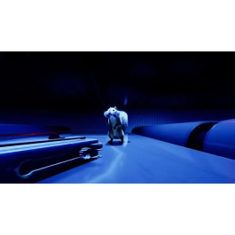 Just For Games Ardilla con una pistola - Juego de PS5 5016488141680