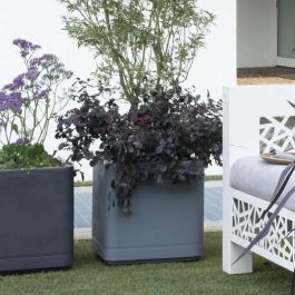 Deroma 9HN1ZSZ217 Maceta Cubo Cosmo Gris Ceniza con Autorriego y Ruedas de 38 cm Deroma 9HN1ZSZ217 Maceta Cubo Cosmo Gris Ceniza con Autorriego y Ruedas de 38 cm
