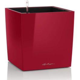 Maceta LECHUZA Cube Premium 40 - juego completo, rojo escarlata brillante Precio: 128.49999987. SKU: B146BXHWNR