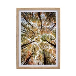 Day Marco de Fotos 21x30 cm Medidas 23x1,5 cm; h.32 cm