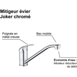 Edouard Rousseau ROU3047404052768 Grifo Mezclador para Fregadero de Cocina JOCKER, Cromo, con Reducción de Caudal y Caño Giratorio Edouard Rousseau ROU3047404052768 Grifo Mezclador para Fregadero de Cocina JOCKER, Cromo, con Reducción de Caudal y Caño Giratorio