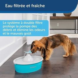 Drinkwell Fuente de Agua para Mascotas Mariposa Plástico 1.5L - Doble Filtración, 4 Flujos, Silenciosa, Sin BPA Drinkwell Fuente de Agua para Mascotas Mariposa Plástico 1.5L - Doble Filtración, 4 Flujos, Silenciosa, Sin BPA