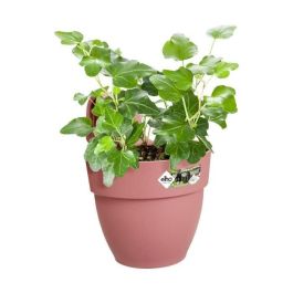 ELHO - Maceta - Vibia Campana Easy Hanger Small - Dusty Rose - Balcón exterior - L 24.1 x W 20.5 x H 26.5 cm ELHO - Maceta - Vibia Campana Easy Hanger Small - Dusty Rose - Balcón exterior - L 24.1 x W 20.5 x H 26.5 cm