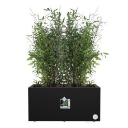 Elho ELH8711904499624 Jardinera Vivo Next Long 60 Negro L 59 x B 30 x H 29 cm, Uso Interior/Exterior, 100% Reciclado