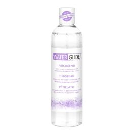 Lubricante Waterglide 300 ml Precio: 29.49999965. SKU: B18A9JJN7P