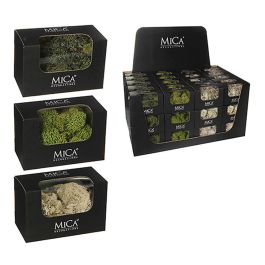 Mica Decorations Plantas de musgo artificial surtidas crema y verde 50g