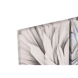 DKD Home Decor Set de 5 Piezas Cuadro Decorativo Hojas Beige Verde Lienzo MDF 25 x 25 x 2.5 cm