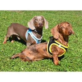 Nayeco Arnés X-Trm Neo Negro XXS para Perros, Ajustable 30-35 cm con Tejido Transpirable y Reflectante