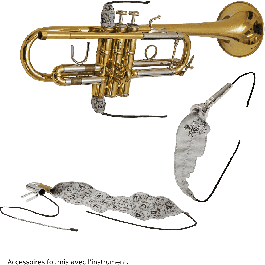 SML Fliscorno Bu600