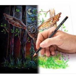 STAEDTLER Lápices de Colores Blandos, Surtido de 12 Unidades (Negro, Azul, Burdeos, Marrón, Verde, Naranja, Melocotón, Rojo, Amarillo)