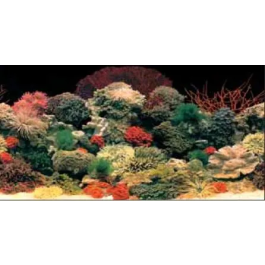 Ferplast Fondo Acuario Imagen Doble Cara Blu 9054 120x50 cm Precio: 8.457900726. SKU: B1G4TNSFGX