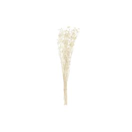 DKD Home Decor Ramo de Flor Seca Pristimera Crema, 12 Unidades, 15x65x15 cm. Pack de Bouquets Decorativos para Centro de Mesa o Jarrones de Hogar. Precio: 70.26228. SKU: B1BLYH6KZP