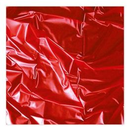 Sábana Joydivision Wetgames 180 x 220 cm Rojo Sábana Joydivision Wetgames 180 x 220 cm Rojo