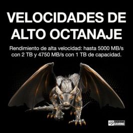 Disco Duro Seagate ZP2048GV3A002 2 TB SSD