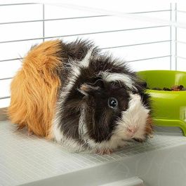 Ferplast Jaula Casita 80 Single Pack