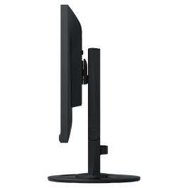EIZO EV2360-BK 58.4cm (23") 1920x1200 IPS WUXGA HDMI+DP+USB Negro