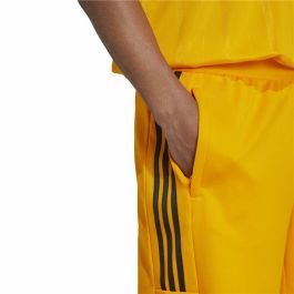 Pantalón de Entrenamiento de Fútbol para Adultos Adidas House of Tiro National Pack Hombre