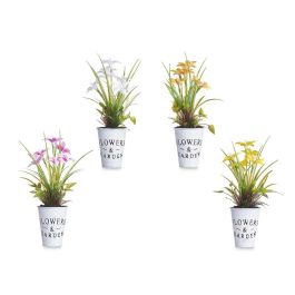 Planta Flor Abierta Peq Bote Metal Surtidos Ibergarden 15X36CM (12 Unidades) Planta Flor Abierta Peq Bote Metal Surtidos Ibergarden 15X36CM (12 Unidades)