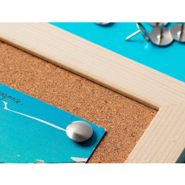 Liderpapel Chinchetas Niqueladas Caja de 50 Unidades Metal 10mm