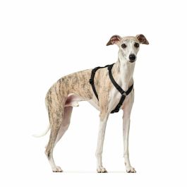 Hunter Arnés Seguridad Vario Rapid Antipánico para Perros, Talla M-L, Pecho 64-100cm, Cuello 47-66cm, Correa Extraíble, Nylon Negro