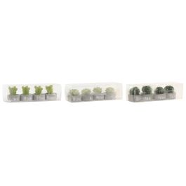 DKD Home Decor Vela Set de 4 Cactus Verde Gris Cera Parafina Cemento 32 gr 12 Unidades 6 x 5 x 20 cm