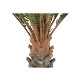 DKD Home Decor Planta Tropical Cycas Verde Marrón PE 140 cm (2 Unidades) - Ideal para Decoración Interior y Exterior