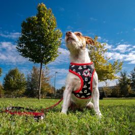 Arnés para perros XS/s mickey t2XS:XS/s Arnés para perros XS/s mickey t2XS:XS/s