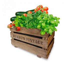 Agreen Kit de Cultivo Vintage Eco - Caja Huerto con Madera Maciza, Semillas de Baby Leaves, Albahaca, Perejil, Tomate y Calabacín, Fibra de Coco y Fertilizante Guano Precio: 31.69000043. SKU: S7911862