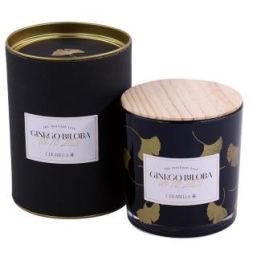 Vela Vaso Ginkvas Ginkgo Biloba Perf. 10X10Cm 1Ud. Vela Vaso Ginkvas Ginkgo Biloba Perf. 10X10Cm 1Ud. Precio: 34.50000037. SKU: B144VKA78V