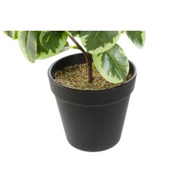 Planta DKD Home Decor Verde Negro 15 x 35 x 20 cm (4 Unidades) Planta DKD Home Decor Verde Negro 15 x 35 x 20 cm (4 Unidades)