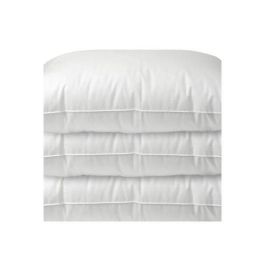 Juego de 2 almohadas - Acabado aparente de Bourdon - 60x60 cm - Blanreve Juego de 2 almohadas - Acabado aparente de Bourdon - 60x60 cm - Blanreve