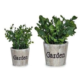 Ibergarden Maceta Garden Planta Verde, Plástico, 16x22x16 cm (12 Unidades) Precio: 56.50000015. SKU: S3602531