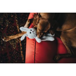 Juguete para perros Hunter Terni Gris Conejo Juguete para perros Hunter Terni Gris Conejo