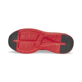 Zapatillas de Running para Adultos Puma Softride Enzo Evo Rojo