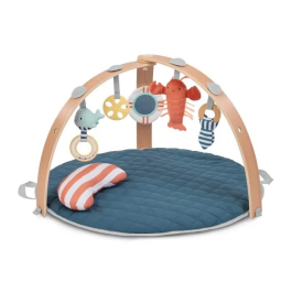 Ingenuity Alfombra de Juego Reversible para Bebé ING17486 - Azul Marino - Arco de Juego de Madera Plegable y Extraíble, 5 Juguetes, Espejo y Cojín Precio: 78.49999993. SKU: B149BECN53