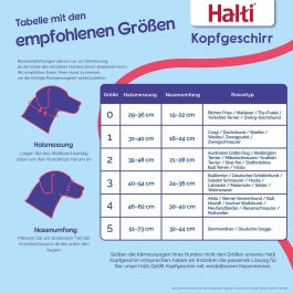 Bozal Company of Animals BURNT Naranja 3