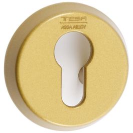 TESA E300L26Lm Escudo de Seguridad Abierto para Cerradura, Acabado Latón Mate. Precio: 49.50000011. SKU: B128JW7YSP