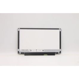 Lenovo Panel LCD Pantalla para Portátil 11.6" WXGA HD (1366 x 768) conector EDP de 30 pines