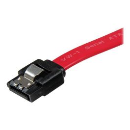 Cable SATA Startech LSATA12