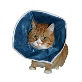 Collar Flexible Azul para Perros y Gatos Pequeños - 14 cm, 1 Unidad Precio: 3.88999996. SKU: B1G2F64MPV